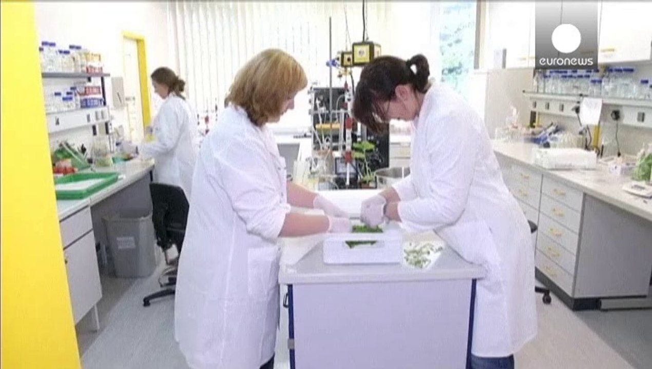 El virus del Ébola sigue extendiéndose por África occidental. Nigeria ha informado de un nuevo caso y ya son 10 personas las que se han contagiado con el virus en el país. 3 de ellas han muerto.