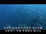 bamwar.com 부평오피방㈆༎༏밤의전쟁▷연산오피방,분당오피방༞