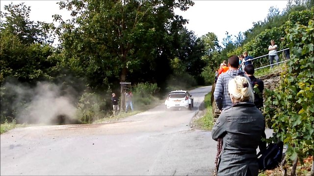 Test Hirvonen ADAC Deutschland Rallye 2014 Ensch