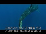 bamwar.com 청주오피방㉯༂밤의전쟁▷강서오피방,광양오피방༔