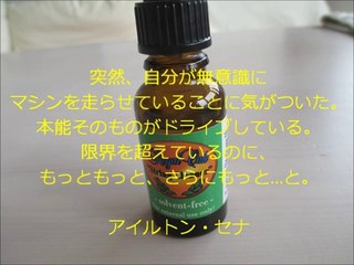 北野弘毅（生活支援アドバイザー）の偉人の名言集～アイルトン・セナ～