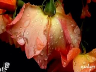 Funda Arar - Zamanın Eli