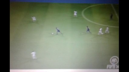 Zlatan Ibrahimovic Long range goal (FIFA 14) PSG