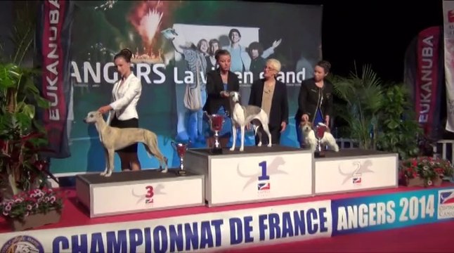 Finale des jeunes Présentateurs du Championnat de France d'Angers !