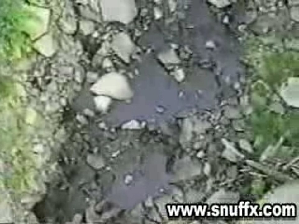 Regissaute