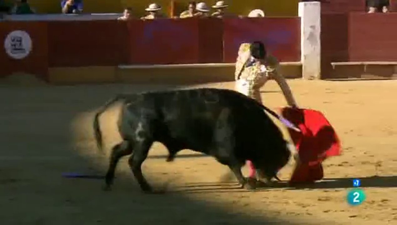Corrida de Beneficencia en Avila 14